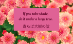 Japanese Quotes Motivational 3D Pop Wallpaper Set