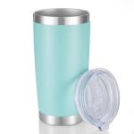 Turquoise 20 oz Insulated Stainless Steel Tumbler