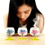 Cherry Blossom Heat Changing Tea Cups & Mugs