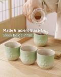 ZENS Ceramic Japanese Tea Cups Set of 4
