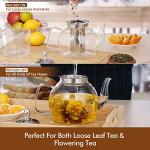 HIWARE 1000ml Stovetop Glass Teapot with Infuser