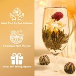 12 Fruit Flavor Flowering Tea Gift Set