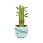 Bamboo Plant Ceramic Coffee Mug - 11 oz