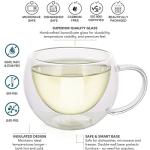 Teabloom Insulated Glass Cups Set of 4