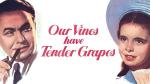 Our Vines Have Tender Grapes