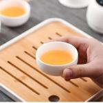 QINFRAGR Portable Chinese Gongfu Tea Set - Handcrafted Ceramic Tea Set for Chinese/Japanese Tea Ceremony, Complete with Teapot & 4 Cups, Travel-Friendly Gift Set (White)