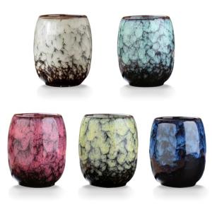 Lxuwbd Japanese style ceramic Tea set, Tea cup, Water cup，Coffee cup, Yerba mate set, Ceramic mate cup set of 5