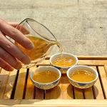 China Gongfu Tea Pitcher and Cup Set