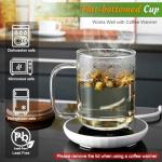 DRASTAR Glass Coffee Cups,12 oz Clear Coffee Mugs with Acacia Wood Lid,Flat Bottomed Coffee Mug with Handles,Tea Cup Set of 2