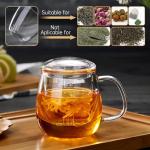 DOPUDO Glass Teacups 2 Pack Glass Tea Cup with Infuser and Lid, 17.6oz/520ml Large Borosilicate Teacup,Tea Clear Mug Cup for Loose Leaf Blooming Tea, Microwave & Dishwasher Safe.