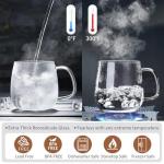 DOPUDO Glass Teacups 2 Pack Glass Tea Cup with Infuser and Lid, 17.6oz/520ml Large Borosilicate Teacup,Tea Clear Mug Cup for Loose Leaf Blooming Tea, Microwave & Dishwasher Safe.