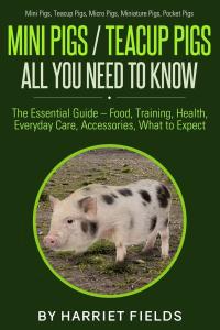 Essential Guide to Mini and Teacup Pigs