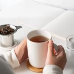 CEEFU Porcelain Tea Mug with Infuser and Lid, with Filter and Coaster, Loose Leaf Tea Cup Steeper Maker, 16 OZ for Tea/Coffee/Milk/Women/Office/Home/Gift (White)