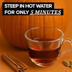 TAZO Pumpkin Spice Chai Tea Bags, Black Tea, Holiday Gift For Tea Lovers, 20ct (6pk)