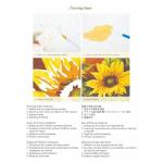 Floral Teacup Paint by Numbers Kit for Adults