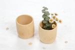Bamboo Wood Tea and Coffee Mug Set