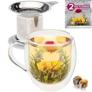 Double-Wall Glass Mug with Stainless Steel Infuser