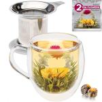 Double-Wall Glass Mug with Stainless Steel Infuser