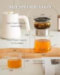 ZENS Modern Glass Tea Infuser Set with Cups