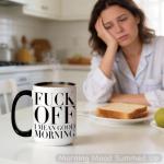 Funny Sarcastic Coffee Mug - 15 oz Double-Sided