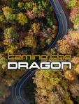 Taming the Dragon: America's Most Dangerous Highway