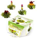 Creano Tea Flowers in Cup Size - Blooming Tea - 8 Flowering Tea in 4 Different Varieties - Green Tea