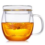 DOPUDO Glass Tea Cup with Infuser and Lid, 17oz/500ml Large Borosilicate Teacup for Loose Leaf Tea, Blooming Tea