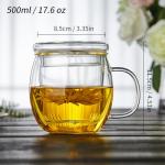 DOPUDO Glass Tea Cup with Infuser and Lid, 17oz/500ml Large Borosilicate Teacup for Loose Leaf Tea, Blooming Tea