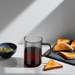 ecooe 16.9oz Glass Tea Cup with Infuser and Lid Clear Glass Tea Cup with Removable Stainless Steel Infuser & Lid, 500ml Teacup for Loose Leaf Tea, Tea Maker Gift for Birthday (Black Glass)