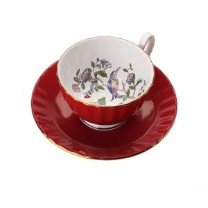 Aynsley Pembroke Glaze Oban 2-Piece Fine Bone China Teacup & Saucer - 6oz (180ml), Handpainted Floral with Gold Trim - Vintage Gift Set-Red