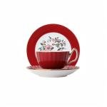 Aynsley Pembroke Glaze Oban 2-Piece Fine Bone China Teacup & Saucer - 6oz (180ml), Handpainted Floral with Gold Trim - Vintage Gift Set-Red