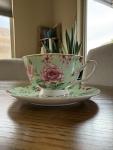Three Black Cats Bone China Tea Cup and Saucer Set, "You've Been Poisoned- Bye", 8 Oz, Sea Foam Green and Pink Rose Pattern, Gold Trim