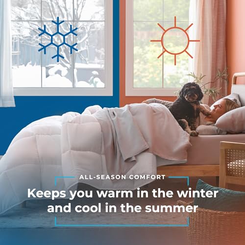 All-Season White Down Alternative Comforter, Queen