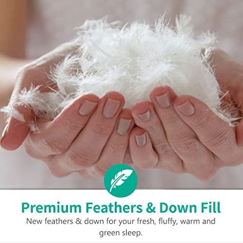 Ultra Soft Queen Feather Down Comforter, Ivory White