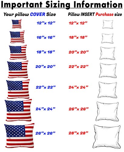 Set of 4 18x18-Inch Pillow Inserts