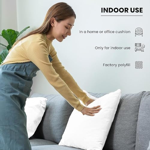 Set of 4 18x18-Inch Pillow Inserts