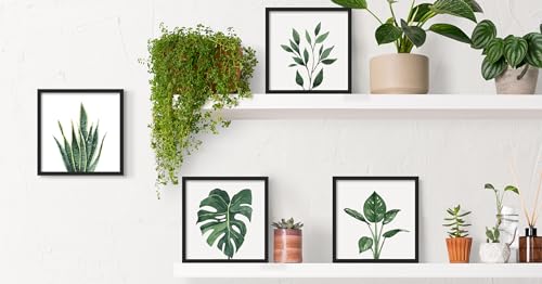 Botanical Wall Art Set of 4 Prints