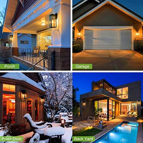 Matte Black 16 Inch Outdoor Wall Lantern