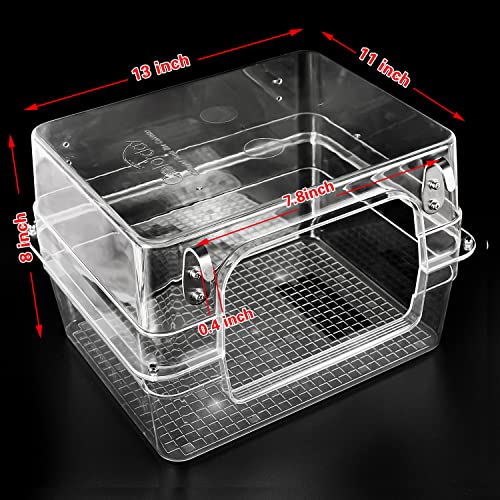 Large Bird Bath for Parrots