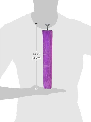 12” Calcium Bird Perch for Large Parrots