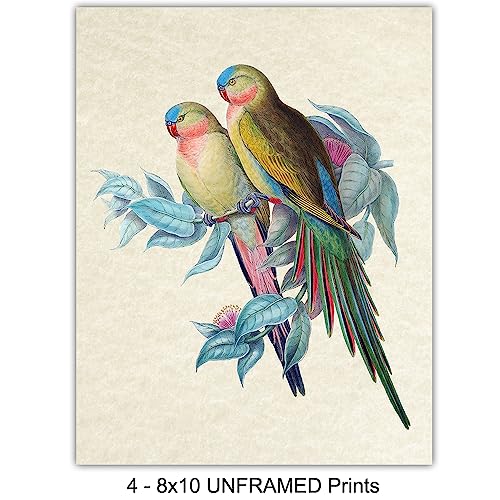 Tropical Bird Wall Art for Birdwatchers