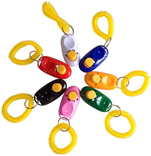 SunGrow Parrot & Chicken Clicker Training Kit