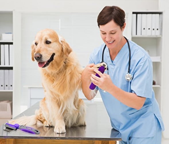 Hertzko Electric Pet Nail Grinder for all pets