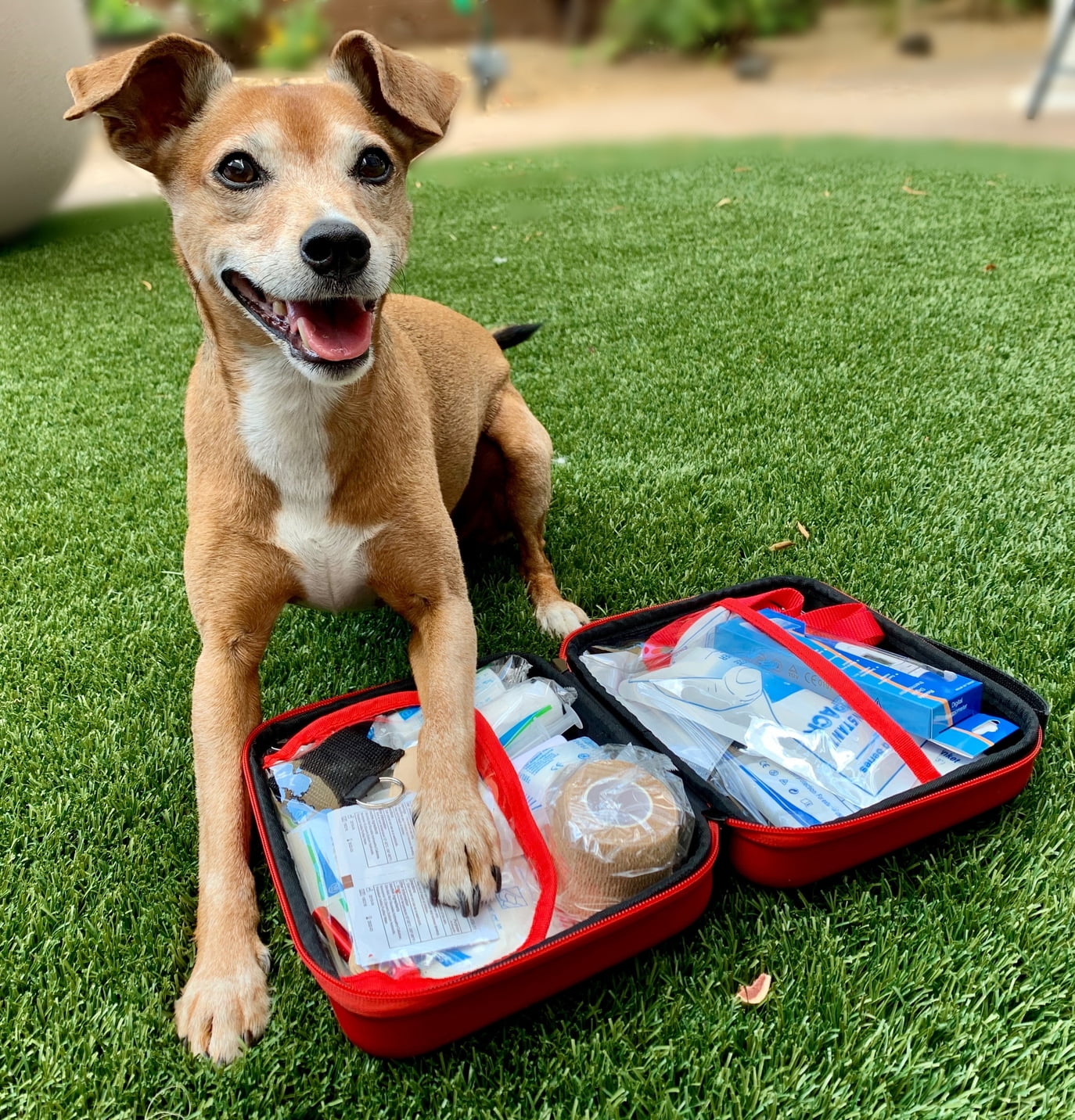 Deluxe Pet First Aid Kit 60 pc Veterinarian Approved