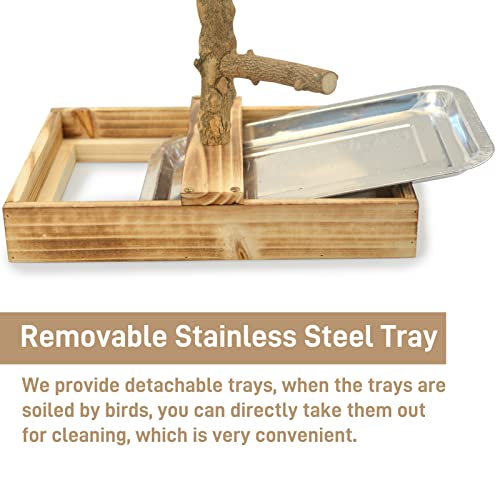 Natural Wood Bird Playground with Accessories and Cups