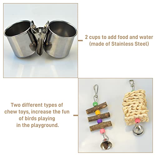 Natural Wood Bird Playground with Accessories and Cups