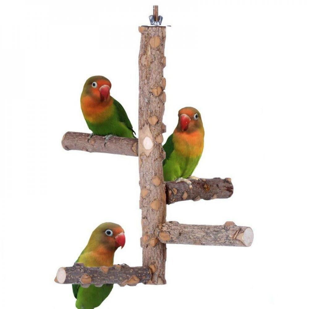 Natural Wood Bird Cage for Small Parrots