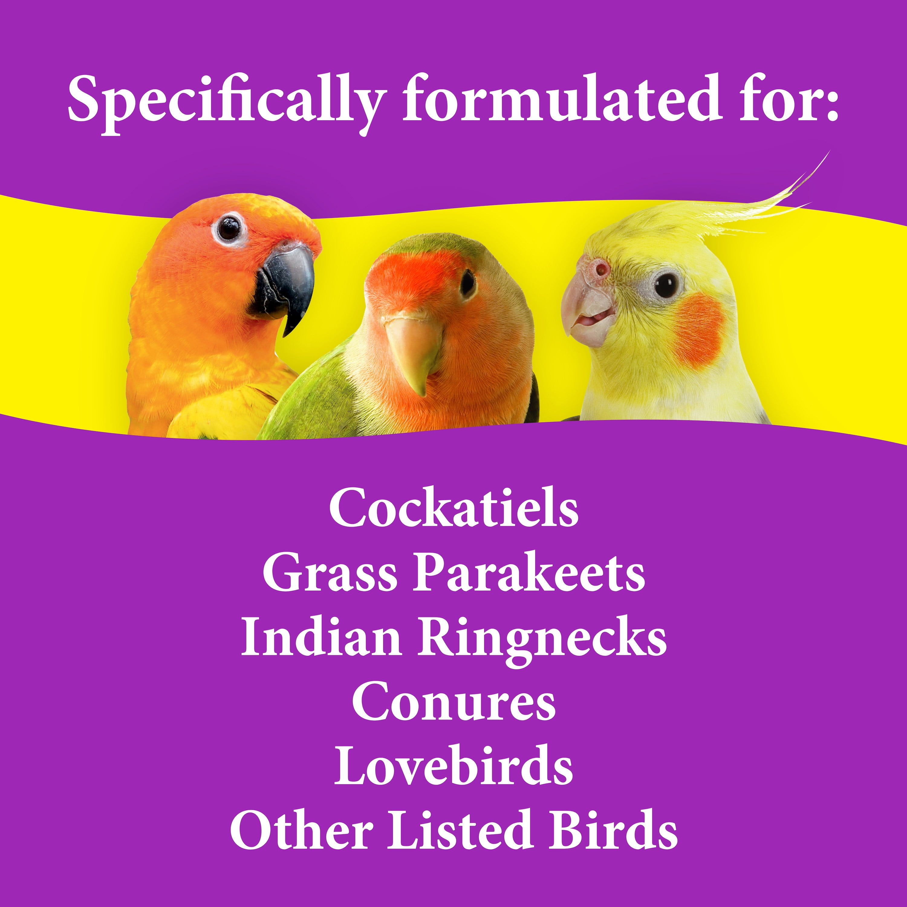Premium Cockatiel Mix Bird Food - 9lb Bag