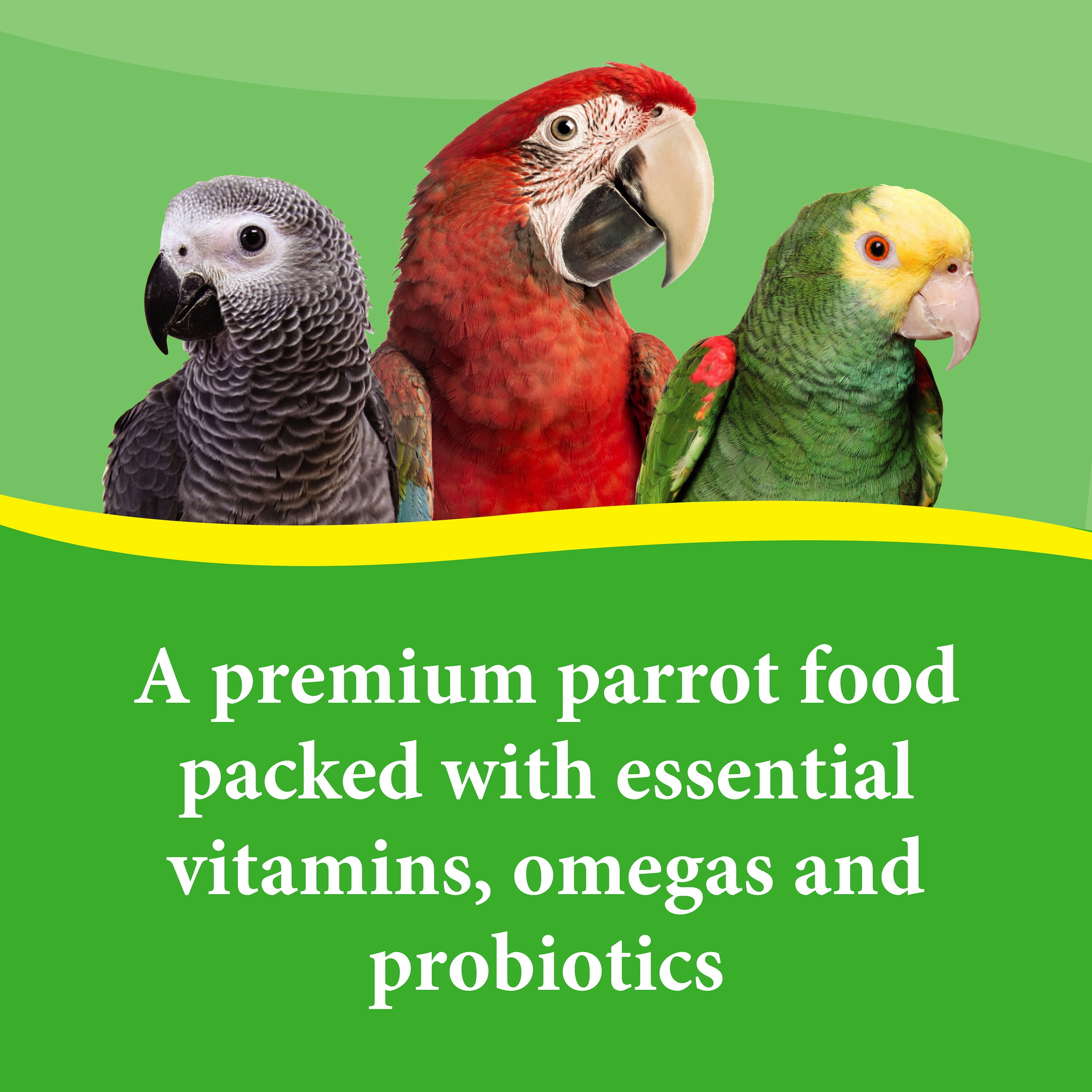 Premium Parrot Seed Mix, 4lb Jar