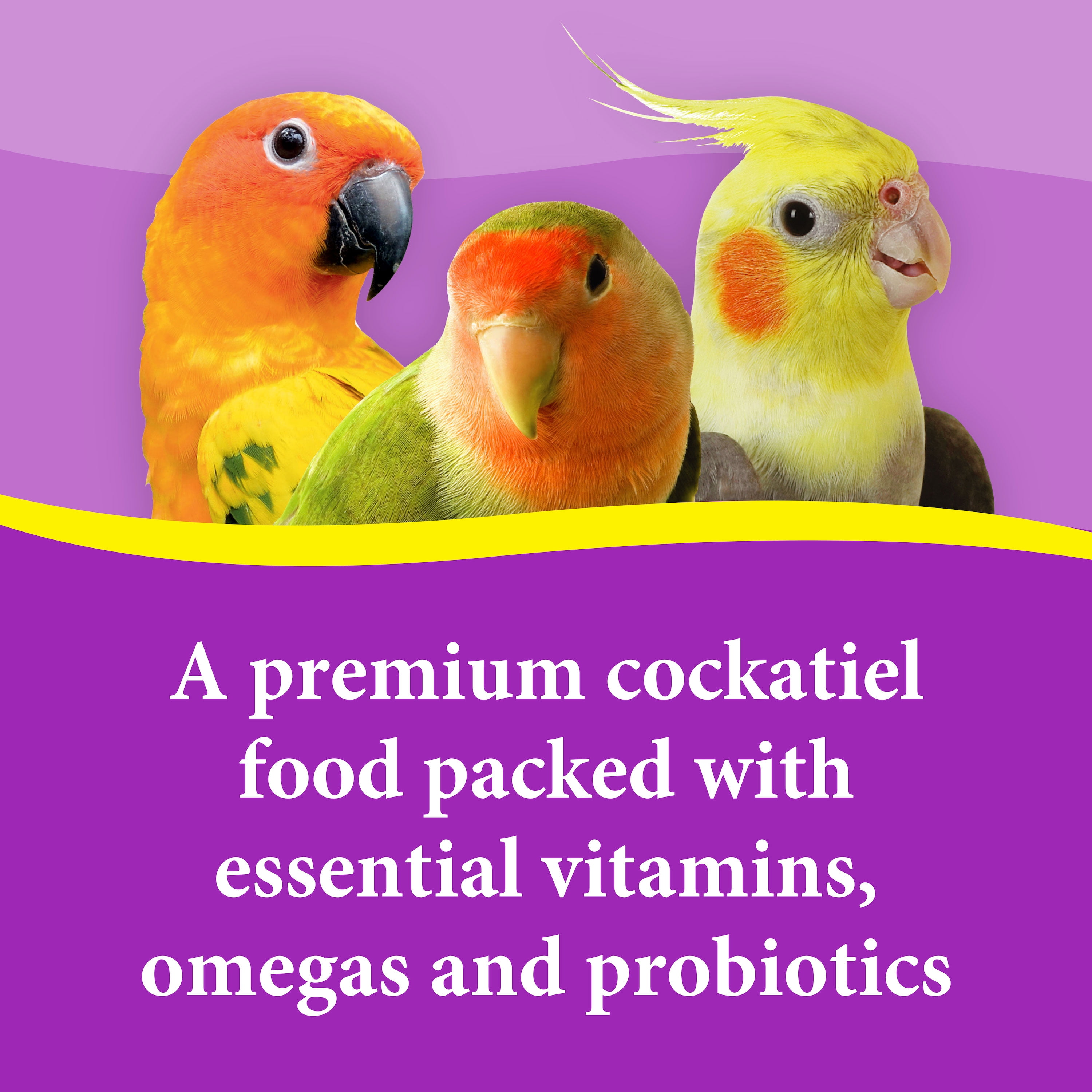 Premium Cockatiel Mix Bird Food - 9lb Bag
